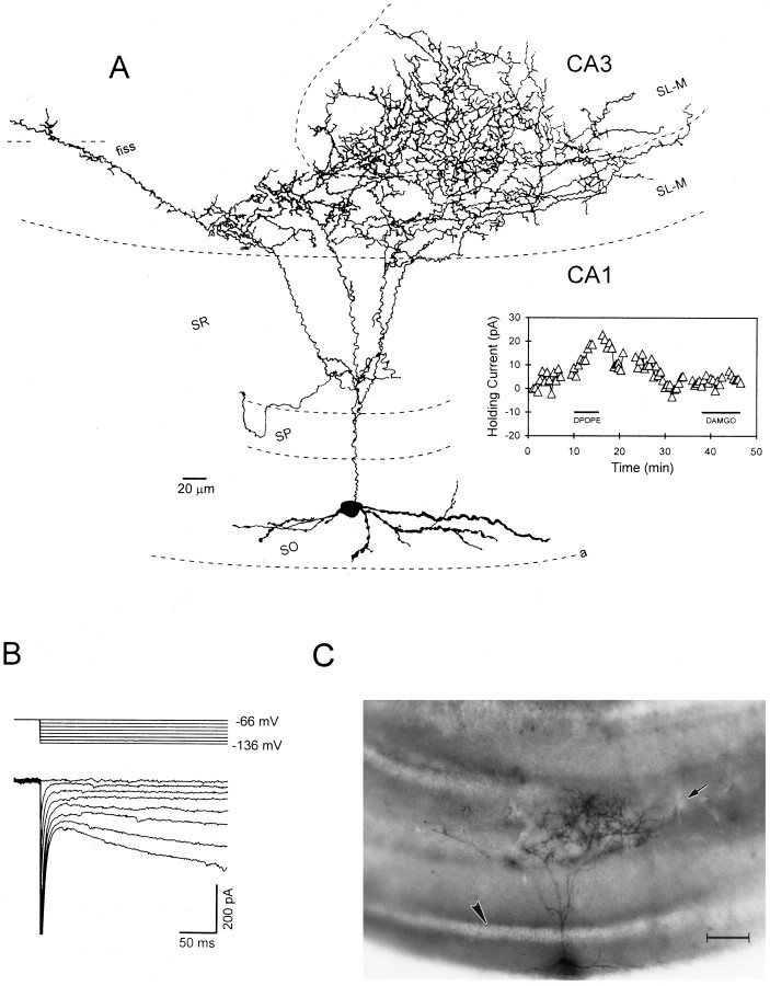 Fig. 5.