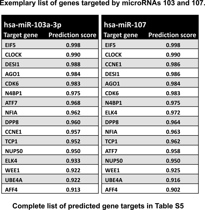 Table S4