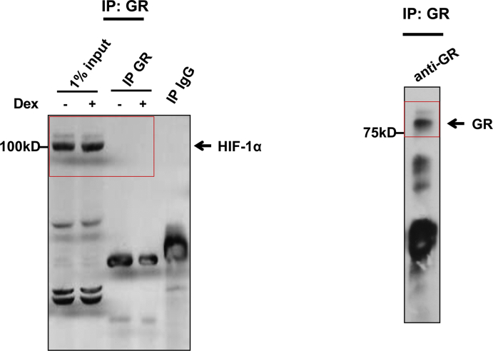 Fig. S1