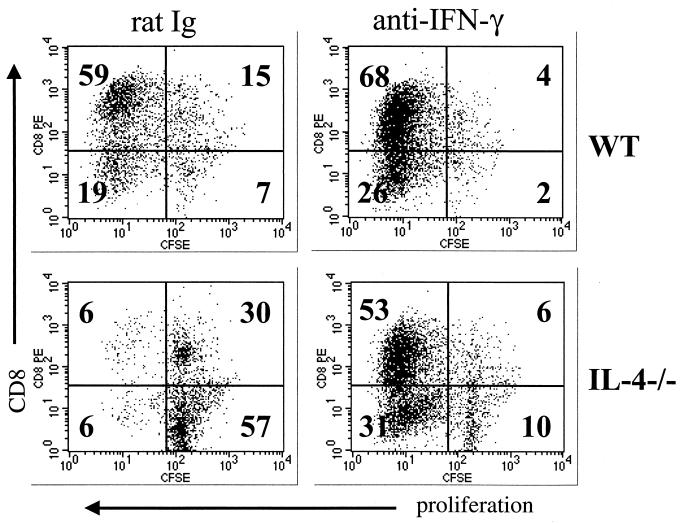 FIG. 4