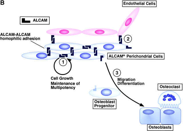 Figure 9.