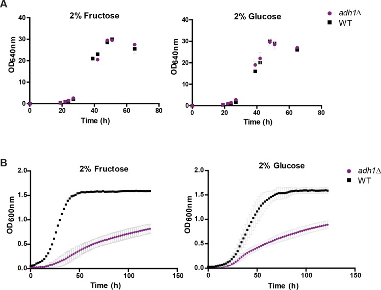 Figure 5—figure supplement 3.