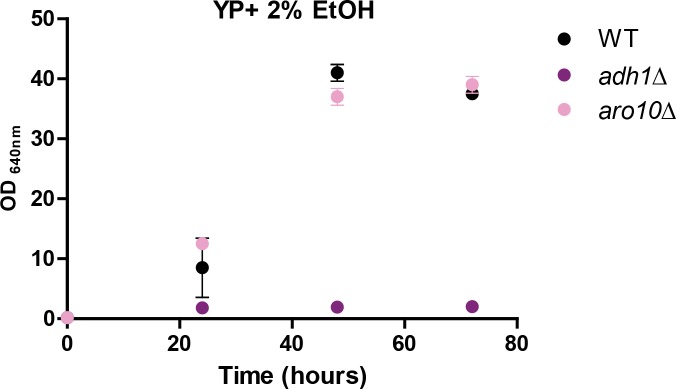 Figure 7—figure supplement 1.