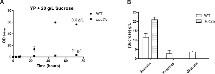 Figure 4—figure supplement 1.