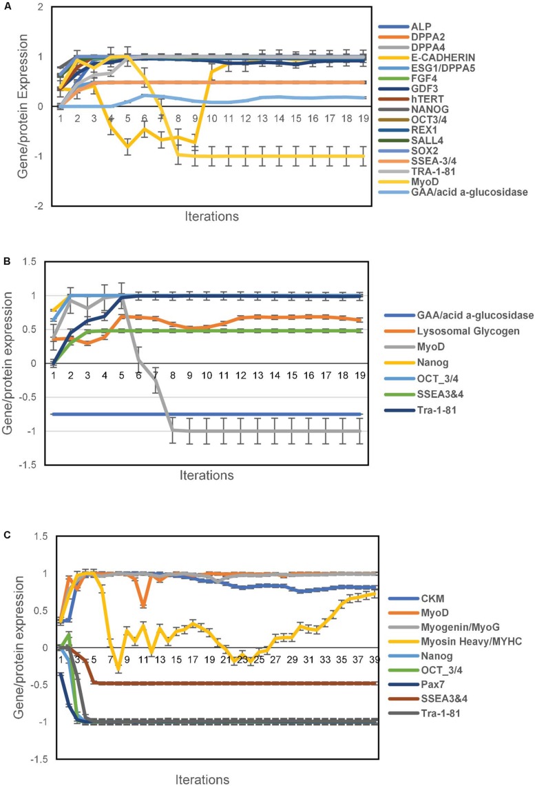 FIGURE 1