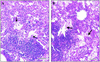 FIG. 7.