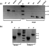 Figure 7.