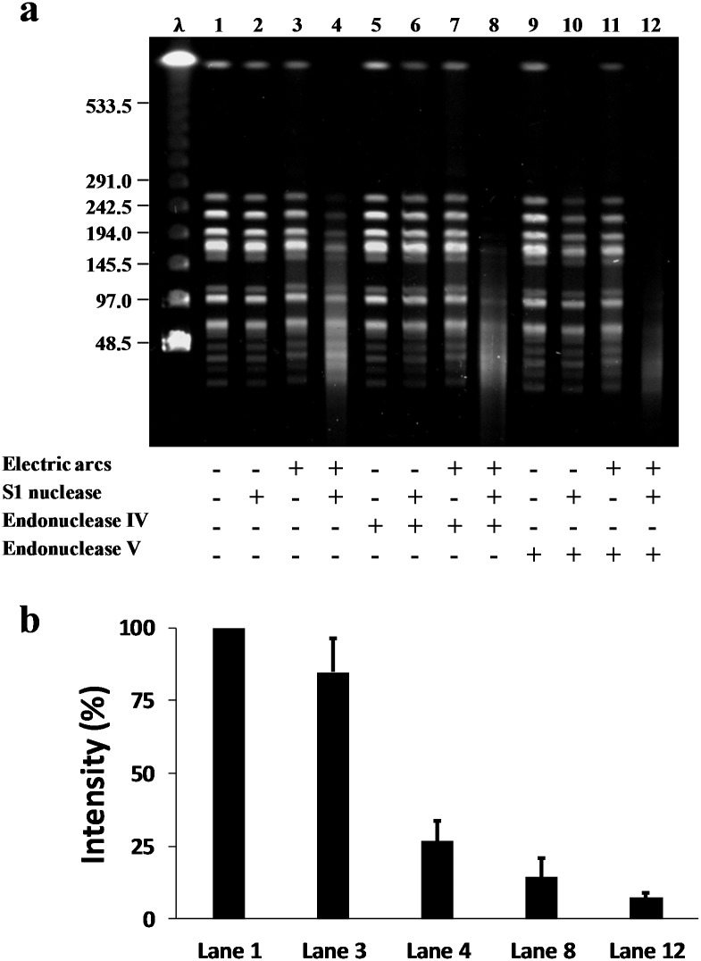 Fig 5