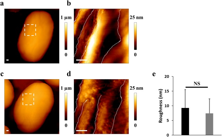 Fig 4