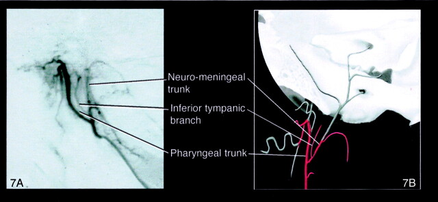 Fig 7.