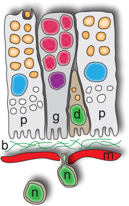 Figure 10