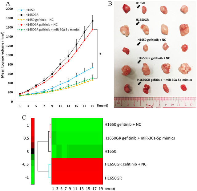 Figure 6.