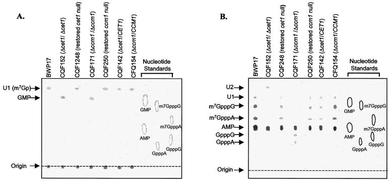 FIG. 5.