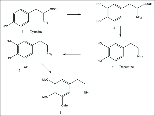 Scheme 1