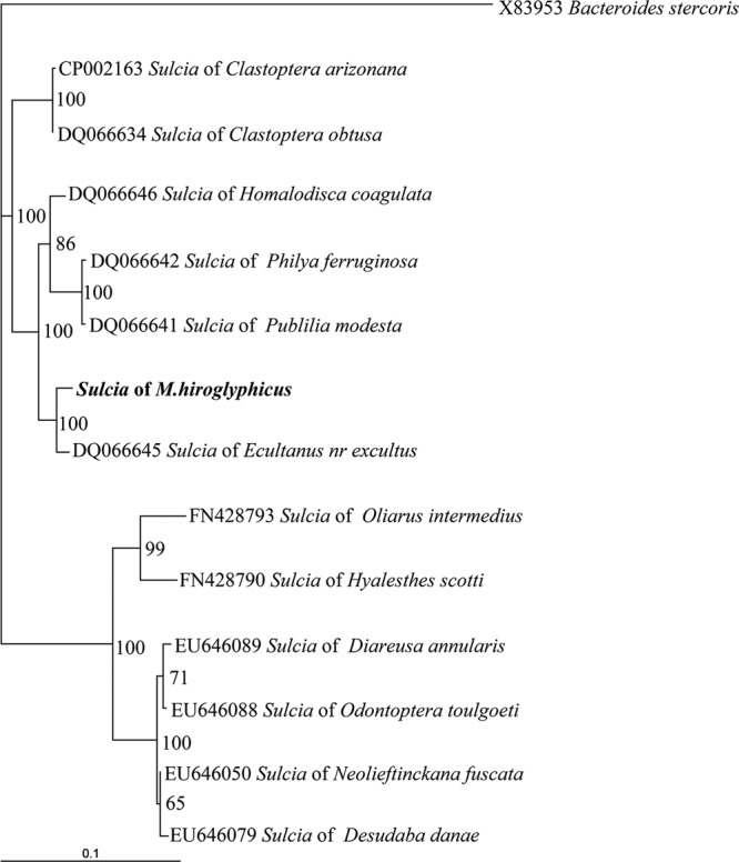 Fig 2