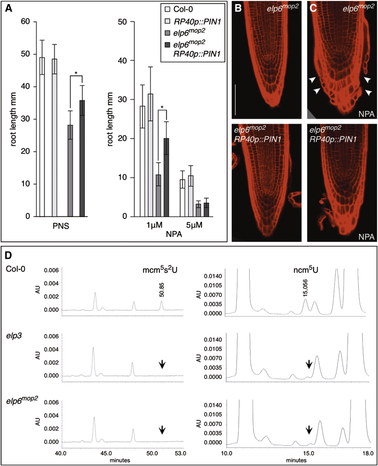 Figure 2