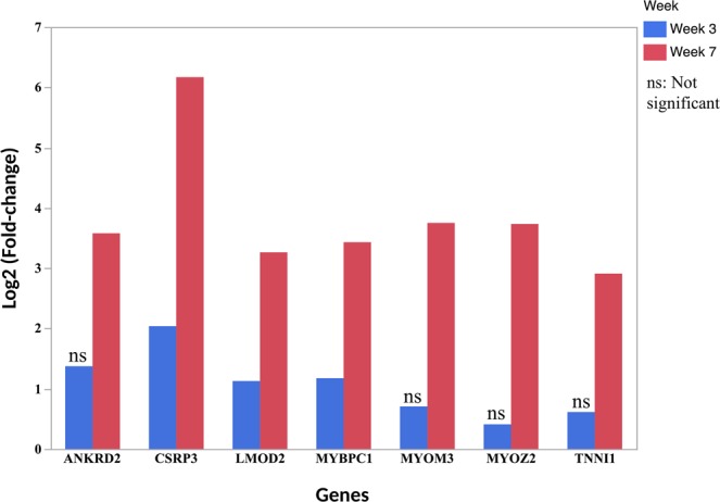 Figure 6