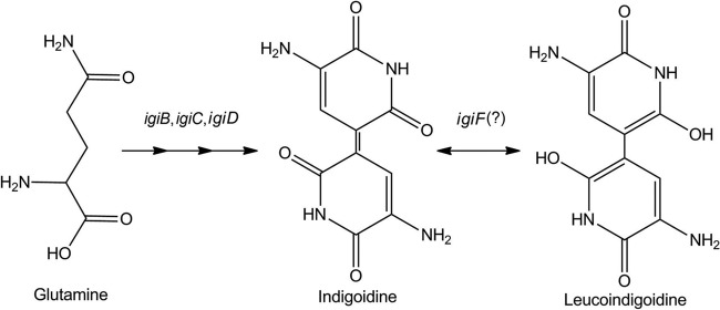 Fig 4