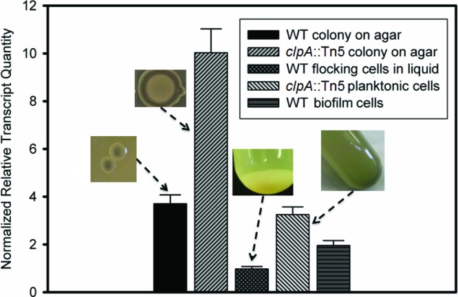 Fig 6