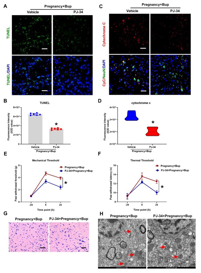 Fig. (4)
