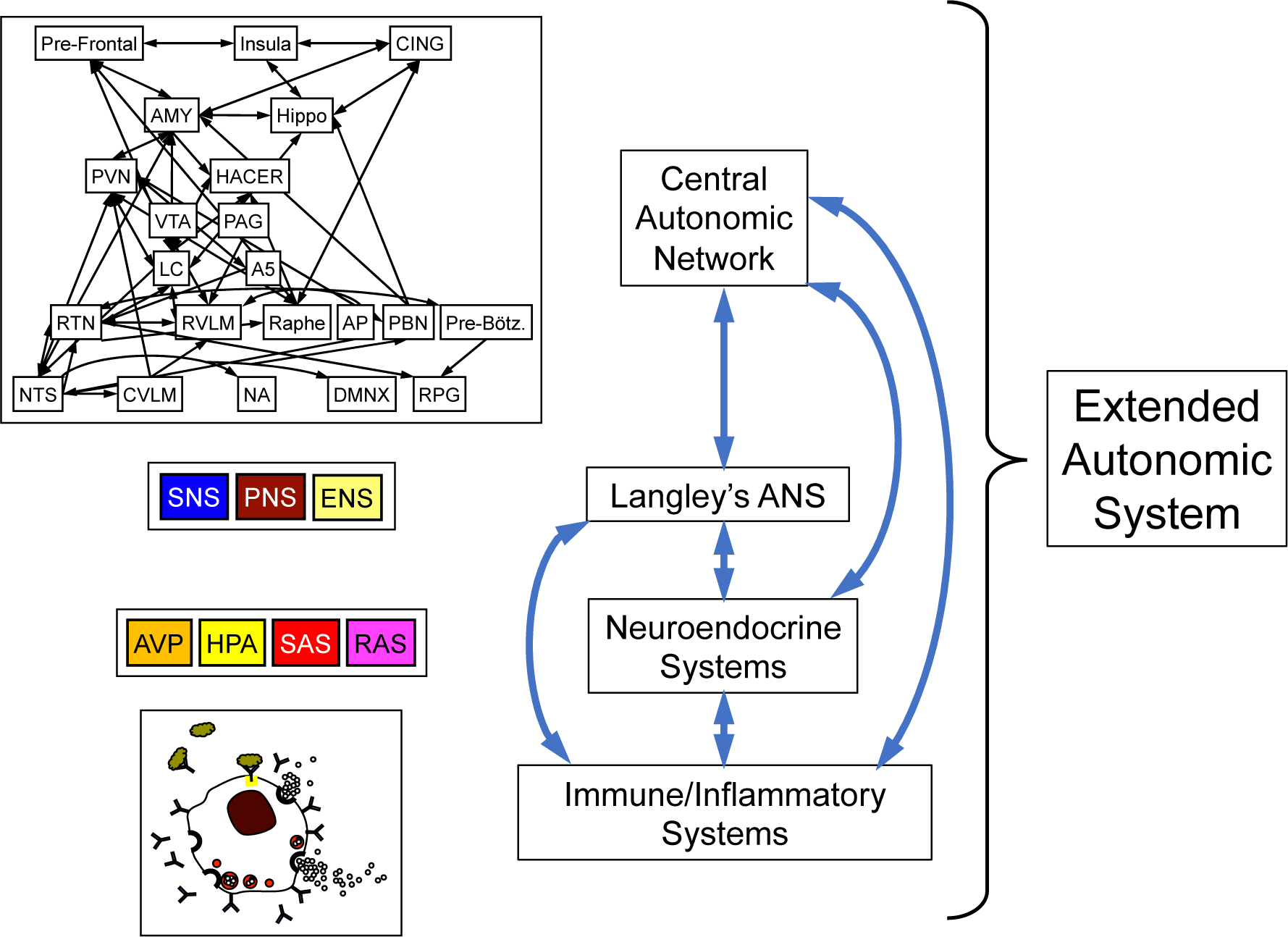 Figure 2: