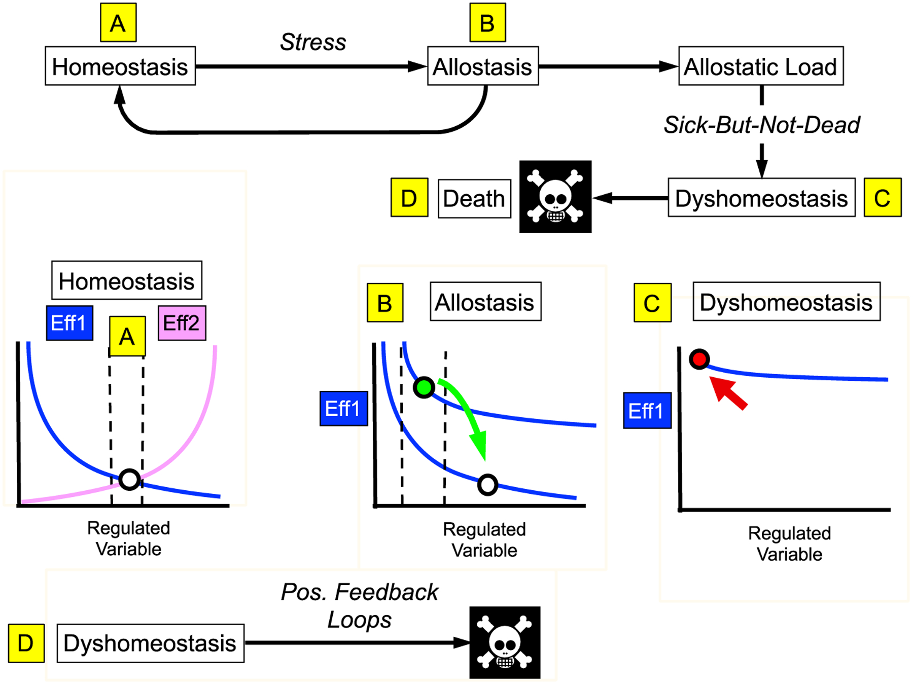 Figure 5: