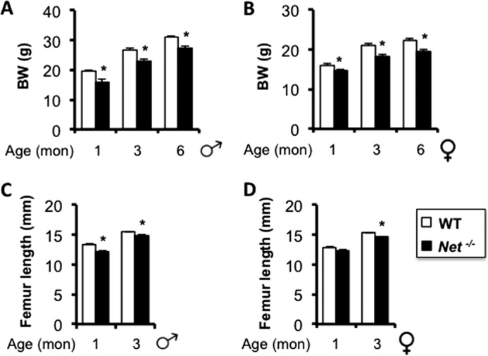 FIGURE 4.