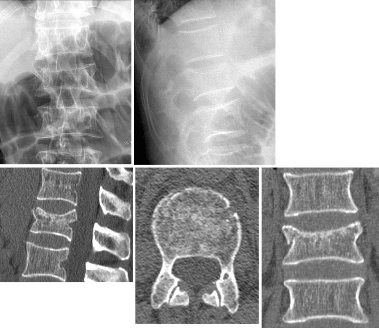 Fig. 7