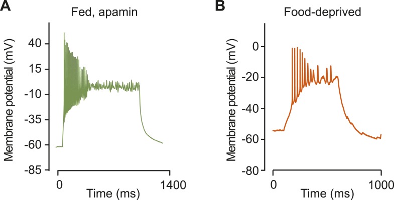 Figure 4—figure supplement 1.