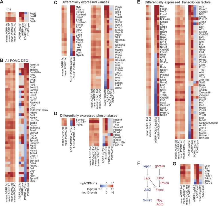 Figure 1—figure supplement 2.