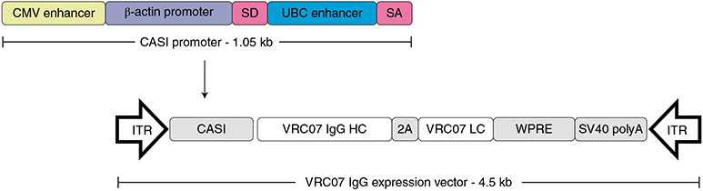 Fig. 1 ∣