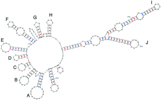 FIG. 2.