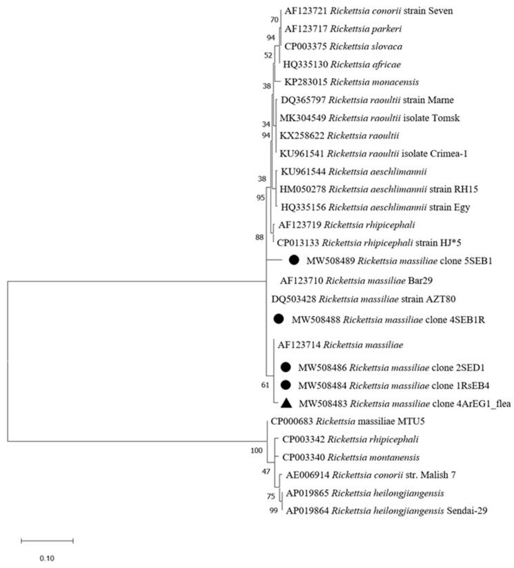 Figure 4