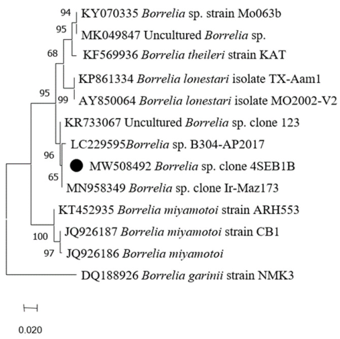 Figure 7