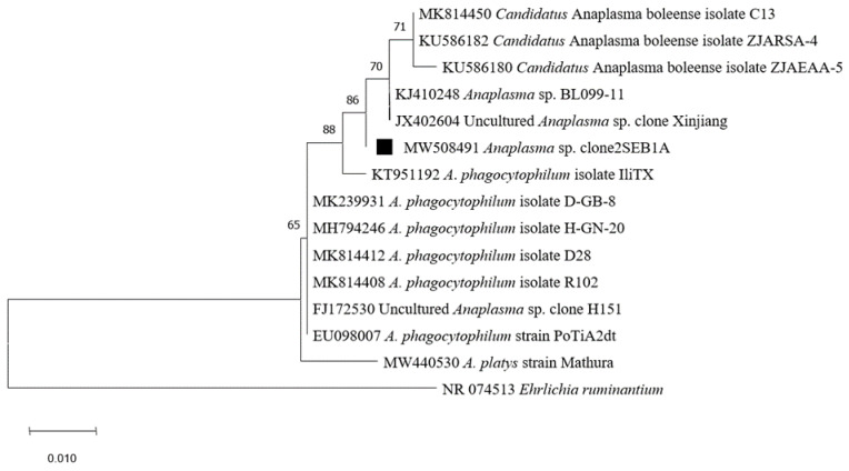 Figure 6