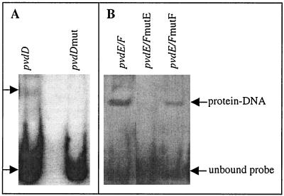 FIG. 5