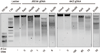 Extended Data Figure 5: