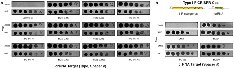 Extended Data Figure 2: