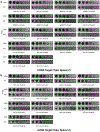 Extended Data Figure 8: