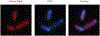 Extended Data Figure 10: