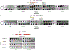 Extended Data Figure 1: