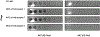 Extended Data Figure 9: