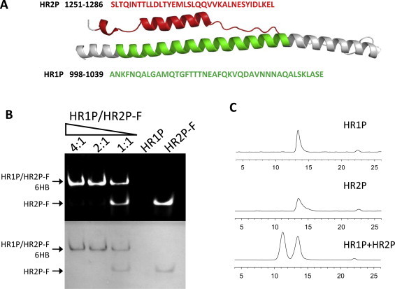 Fig. 3