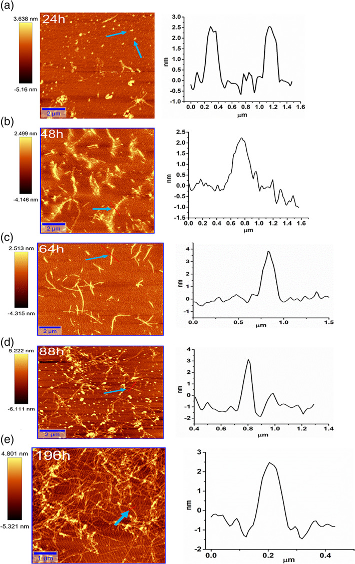 FIGURE 3