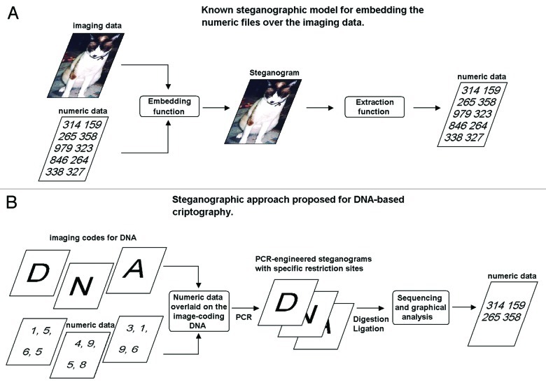 graphic file with name cib-6-e23478-g8.jpg