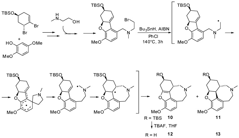 Scheme 10