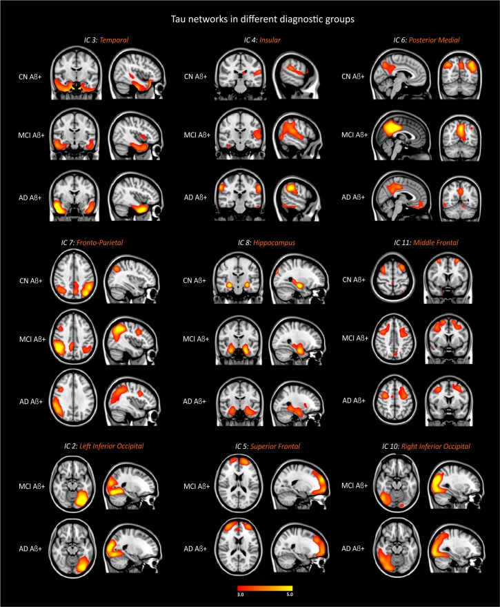 Figure 2—figure supplement 3.