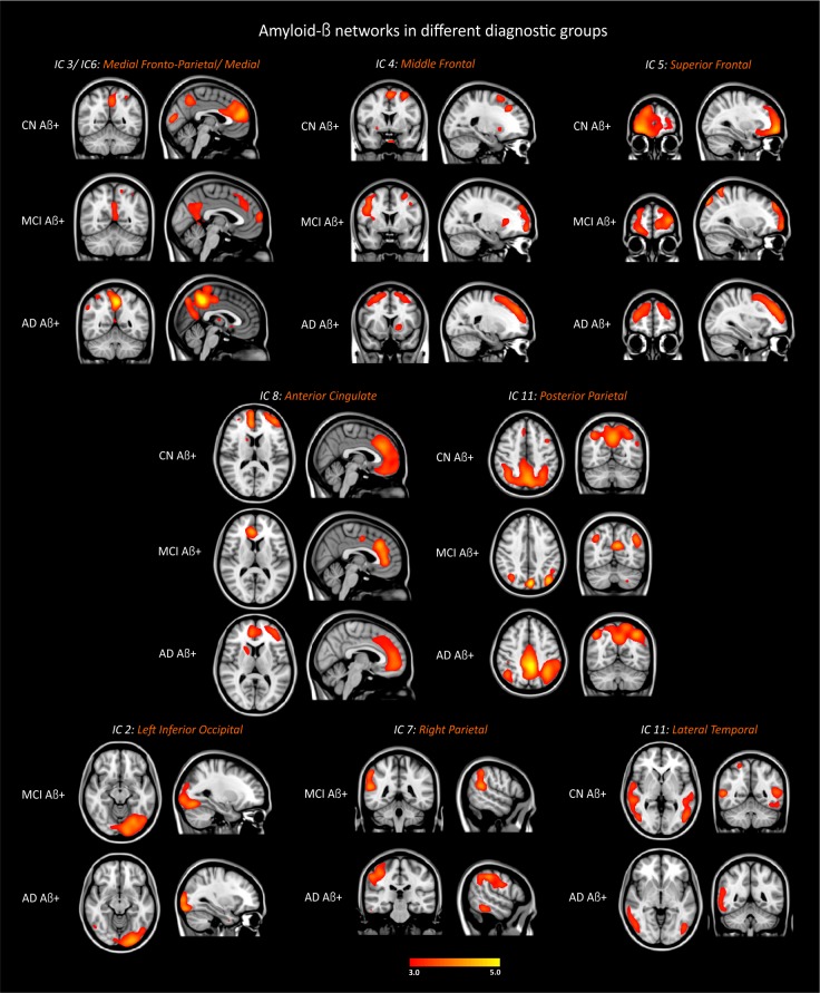 Figure 2—figure supplement 2.