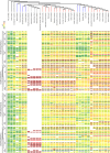 <sc>Fig</sc>. 2.