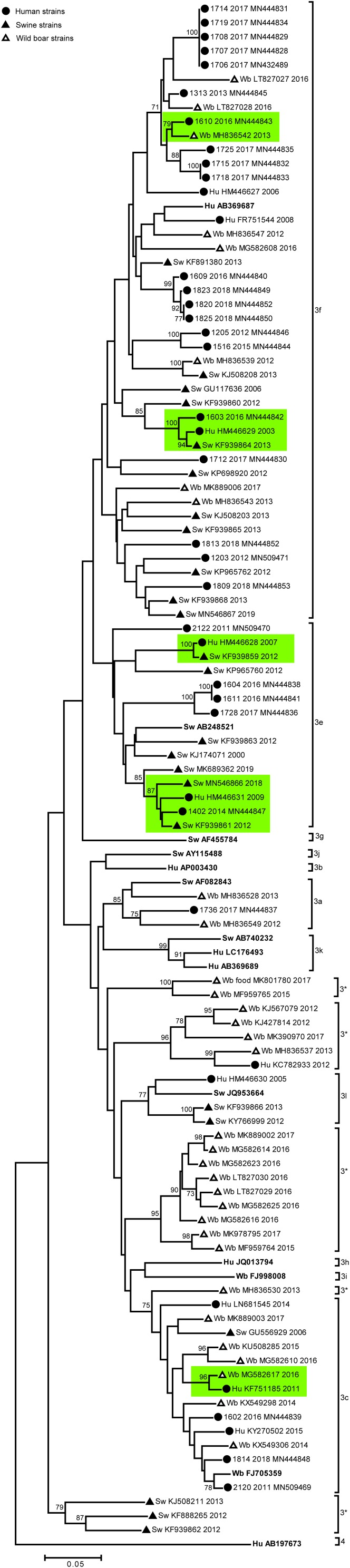 FIGURE 1